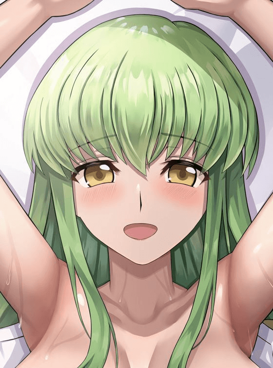 ソフトVer