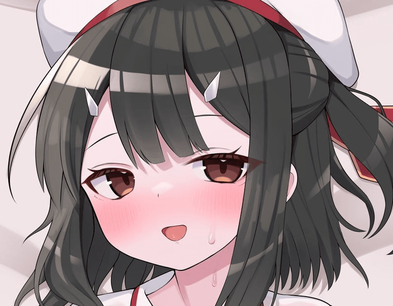 ソフトVer