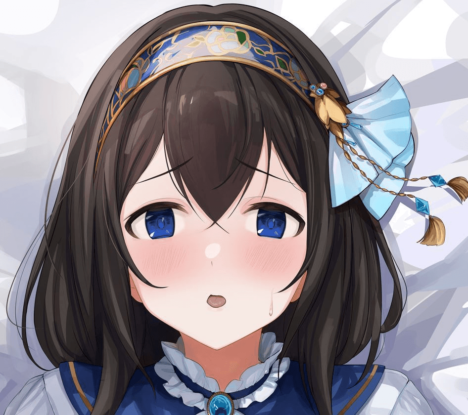 ソフトVer