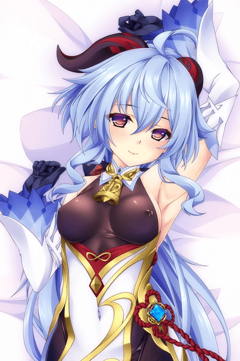Aqua Premier