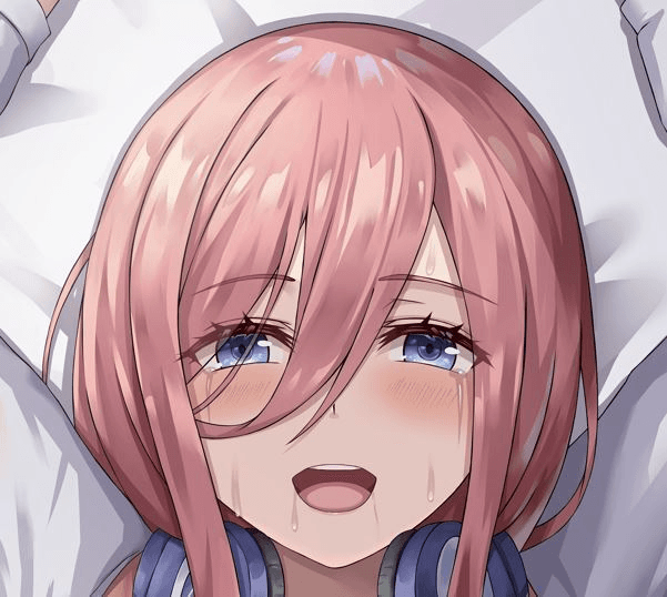 ソフトVer