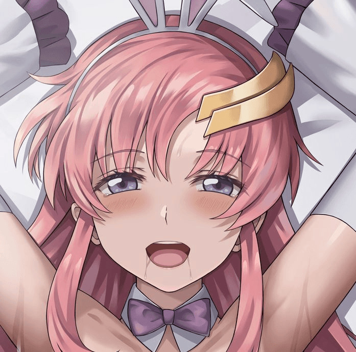 ソフトVer