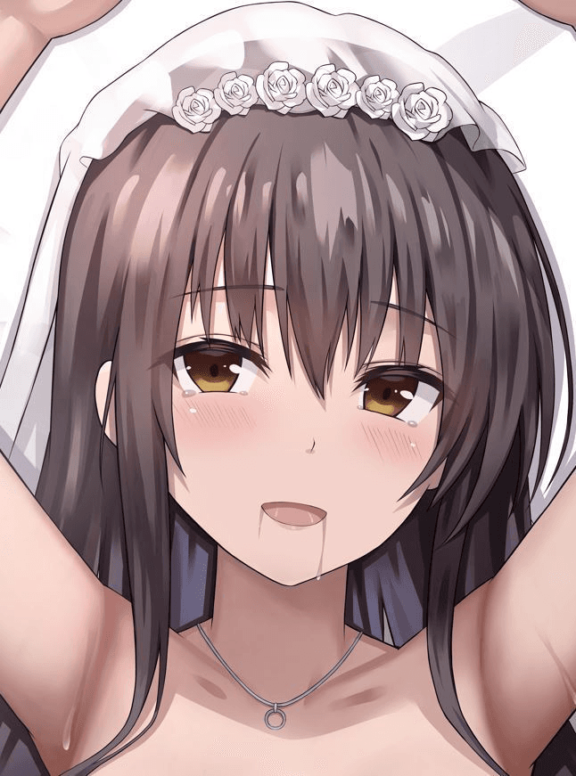 ソフトVer