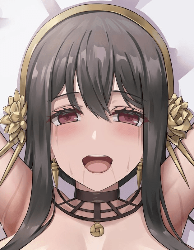 ソフトVer