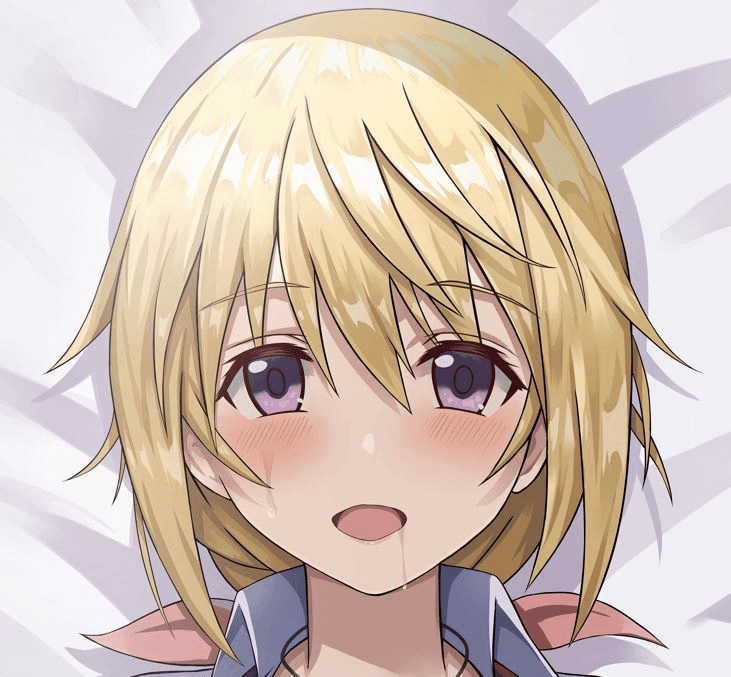 ソフトVer